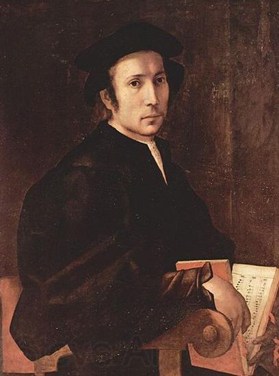 Jacopo Pontormo Portrat eines Musikers